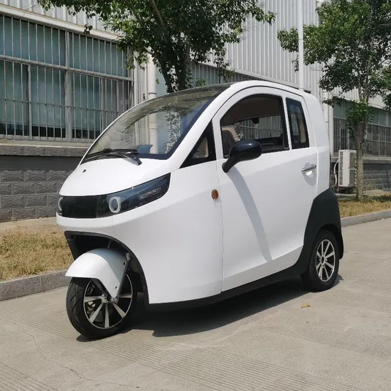 Dreirädriges Elektrofahrzeug mit EWG-/COC-Zulassung