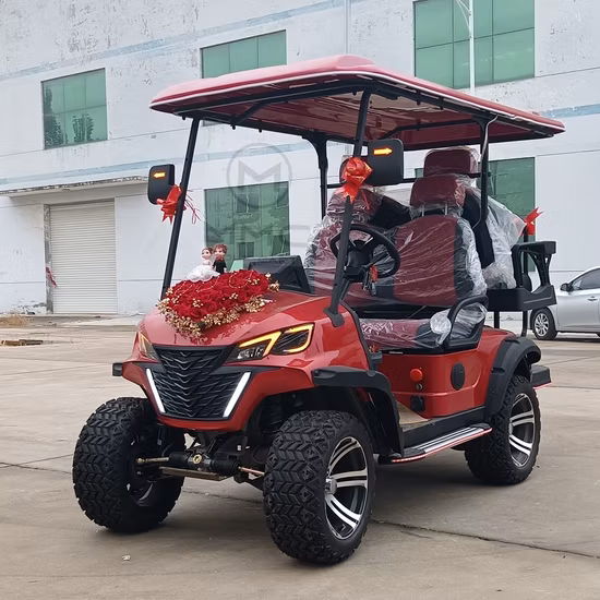 Customized Design 2 Rows 4 Seaters Electric Golf Cart