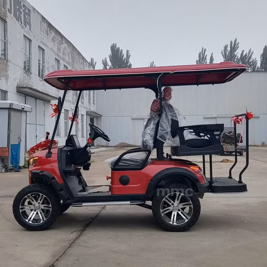 Customized Design 2 Rows 4 Seaters Electric Golf Cart