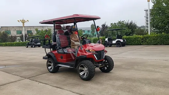 Customized Design 2 Rows 4 Seaters Electric Golf Cart