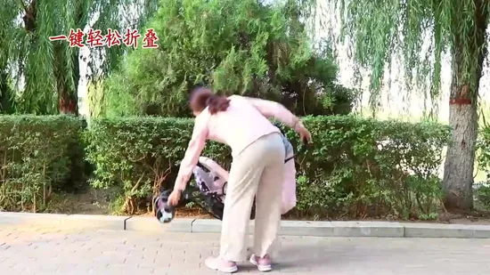 Kids Motor Bike Children Electric Tricycle Cem-14