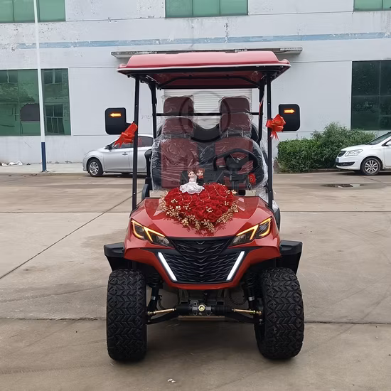 Customized Design 2 Rows 4 Seaters Electric Golf Cart