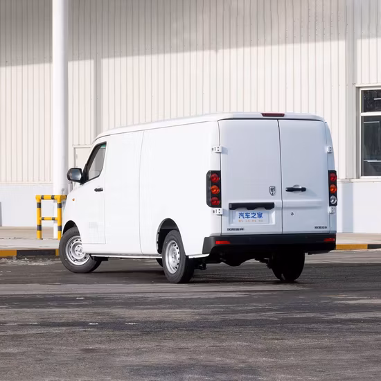 China Pizza Food Delivery Mini-Elektro-Van für den Export